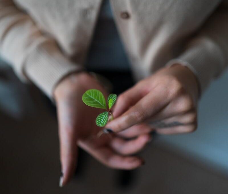 O futuro é sustentável. A sua empresa está preparada?